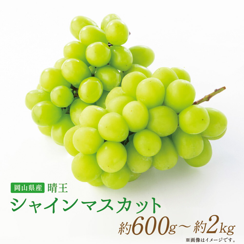 【ふるさと納税】＜選べる内容量＞岡山県産 シャインマスカット 約600g×1房・約2.0kg（3～4房） フルーツ くだもの 果物 シャイン マスカット ぶどう ブドウ 葡萄 冷蔵 岡山 国産 岡山県 美咲町 送料無料【2025年9月上旬〜11月下旬発送予定】