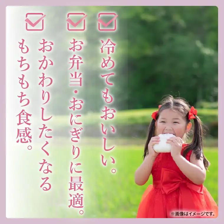 令和7年産 茨城県産 ミルキークイーン10kg（5kg×2袋）【お米 米 コメ こめ こしひかり 35000円以内】(AL169)