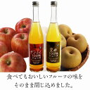 【ふるさと納税】 FT18-175 果汁100％ジュースセット（りんご・梨）