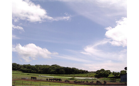 【懐かしい】赤城牛ビーフカレー ゴールドタイプ 中辛（9個）  カレー レトルト