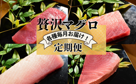 まぐろ 定期便 贅沢マグロ メバチマグロ 中とろ 計4回 まぐろ