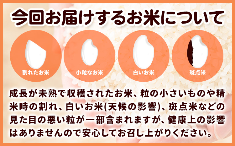 米 白米 こめ 令和6年産 和歌山県産 にじのきらめき 5kg 《60日以内に出荷予定(土日祝除く)》 和歌山県 日高川町 コメ お米 ご飯 ごはん---wfn_wlocal_60d_24_12000