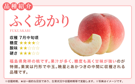 もも【ふくあかり・2027年産先行予約】特秀1.2kg　桑折町産　JAふくしま未来　桃 ／ もも モモ 果物 フルーツ 旬 甘い 甘み ジューシー 果肉 果汁 新鮮 フレッシュ デザート おいしい 産