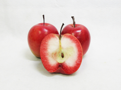 中まで赤～いりんごチップス　25g×2袋 ノンフライ【追熟チップス】 追熟栄紅 青森県五所川原市 おやつ ドライフルーツ