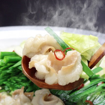 博多もつ鍋セット(九州醤油仕立て)国産牛もつ 600g!4〜6人前【配送不可地域：離島】【1526280】