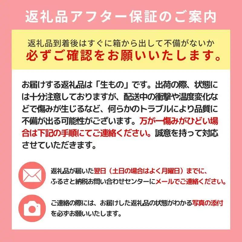 梨 かほり梨 大玉 秋田県産 梨【5kg】