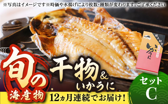【全12回定期便】旬の海産物 干物詰め合わせ Cセット 《壱岐市》【マルミ海産物】[JCY014] 240000 240000円 24万円 干物 ひもの アジ イワシ イカ みりん干し タイ