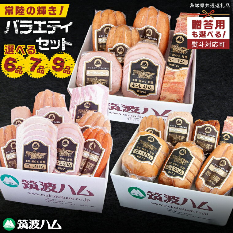 【ふるさと納税】常陸の輝き バラエティセット 6品・7品・9品【選べる内容量・熨斗有無】国産豚 お取り寄せ グルメ 人気 冷蔵 詰め合わせ ギフト おかず ご当地グルメ ディナー 食べ比べ パーティー【茨城県共通返礼品/つくば市】（106-05）