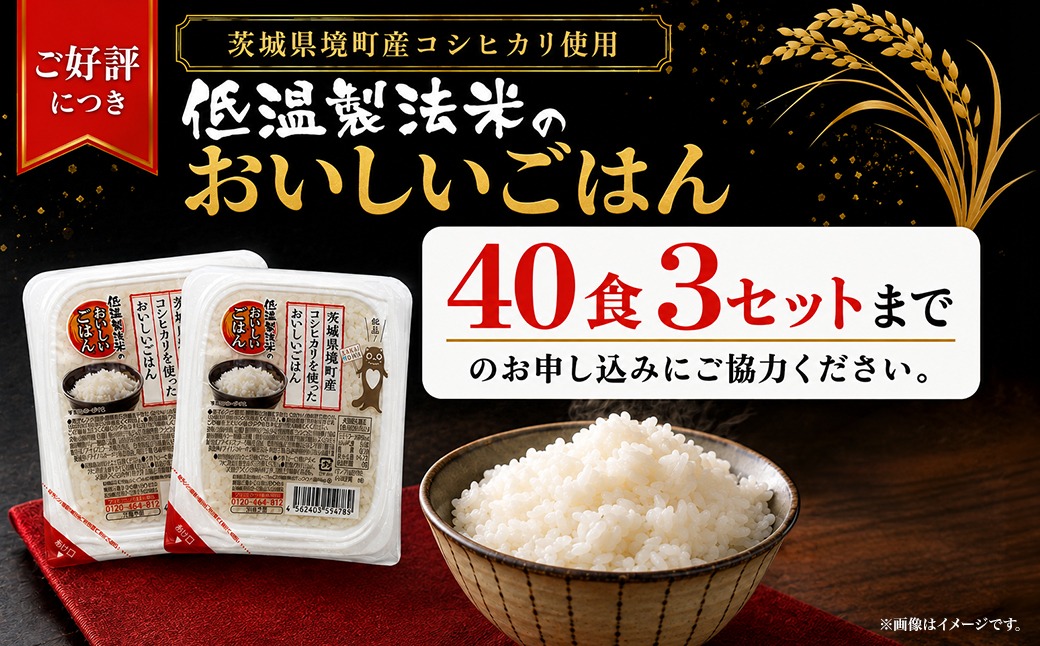 境町産こしひかり使用 低温製法米パックライス 180g×40個