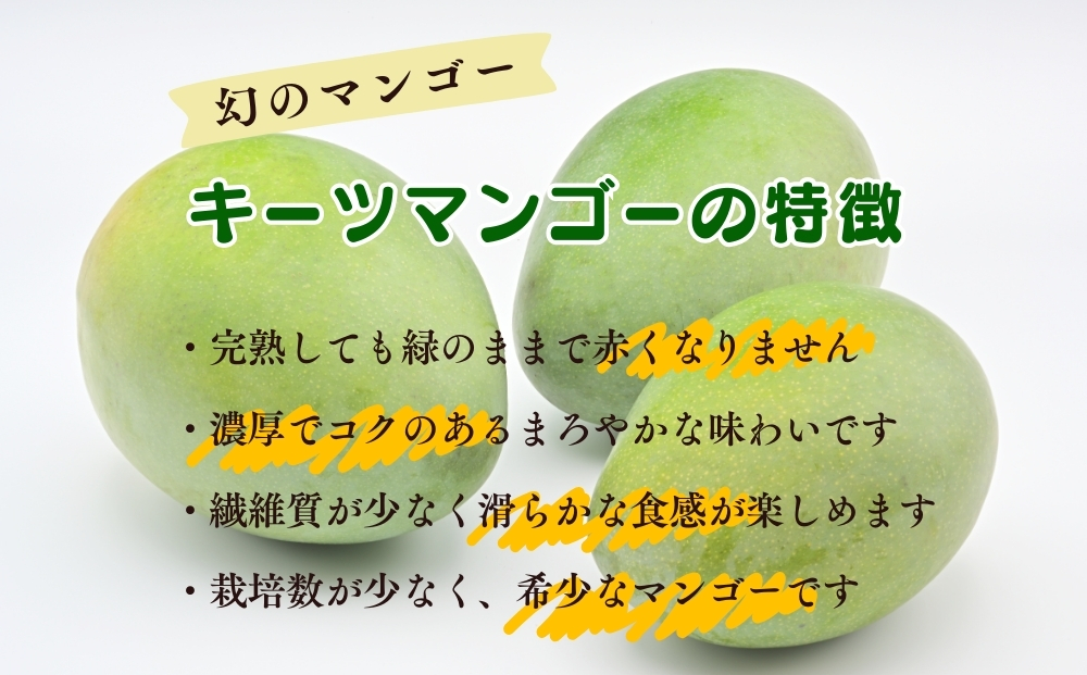 【うるマルシェ厳選】野菜のプロが選んだ！絶品キーツマンゴー　約1kg　【2024年発送】　贈答用　ご自宅用　マンゴー　甘い　希少　緑のマンゴー