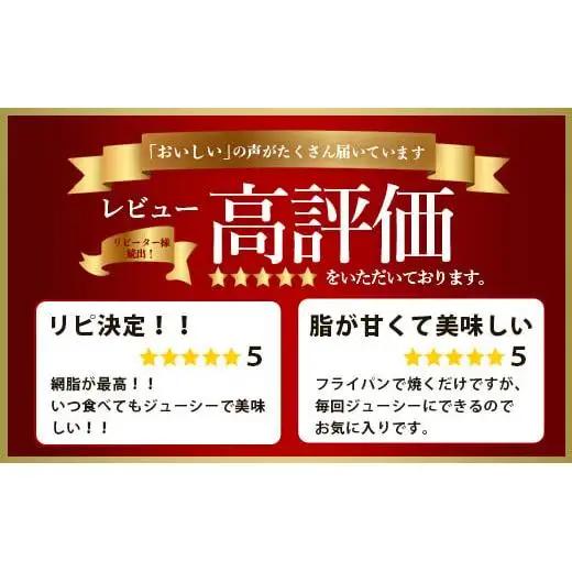 石垣島産 やえやまファームのアグー豚（南ぬ豚）網脂 ハンバーグ ≪6個セット≫　 E-9-1 