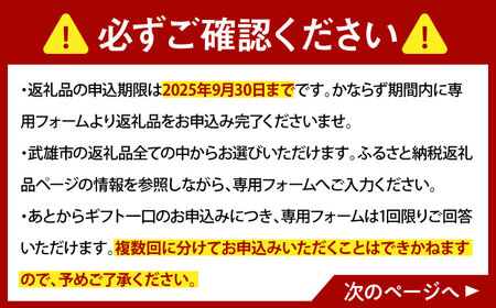 【あとから選べる】武雄市ふるさとギフト 寄附額3万円分[UZZ001] あとから選べる 選べるギフト あとからセレクト 佐賀牛 温泉 武雄焼 温泉湯豆腐 後から選べるギフト 牛肉 やきもの 豆腐