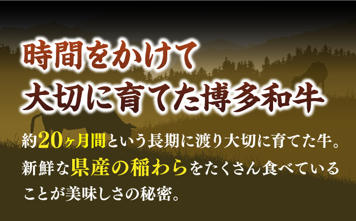 【厳選部位使用！】博多和牛 A4〜A5 しゃぶしゃぶ すき焼き スライス 400g《築上町》【株式会社MEAT PLUS】 [ABBP005] 11000円  11000円 