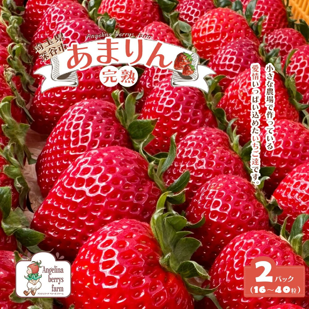 【ふるさと納税】Angelina berrys farm あまりん16粒～40粒　2パック入り箱詰めいちご　【11218-0540】　# いちご 深谷 深谷市 朝採れ あまりん 完熟 甘い 糖度 アンジェリーナベリーズファーム 埼玉県