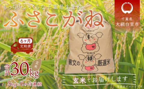 ＜6ヶ月定期便＞千葉県産「ふさこがね」玄米5kg×6ヶ月連続 計30kg A017