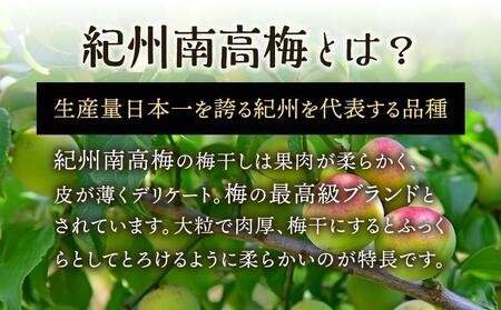 紀州南高梅使用 はちみつ うす塩味 完熟梅干し 無選別 約800g [TM198]