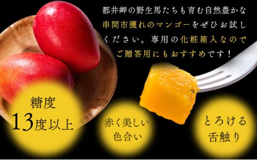 完熟マンゴー(4L×2個) 果物 フルーツ スイーツ デザート おやつ ギフト 贈り物 贈答 プレゼント お取り寄せ おすそ分け 特産品 おすすめ マンゴー 完熟マンゴー_K008-024