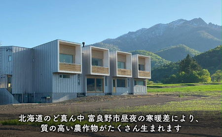 【2024年8月～発送】北海道 富良野市 とうもろこし 食べ比べ サニーショコラ 黄色 ＆ ホワイトショコラ 白色 L～2L サイズ 計5kg ふらの 野菜 トウモロコシ とうきび 数量限定 (フラノ