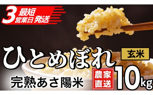 
                  【生産者応援】 完熟あさ陽米 (玄米) 10kg (5kg×2) ひとめぼれ 特別栽培米 令和7年産 生産農家直送 米 産地直送 こめ 玄米 ご飯 あさ陽米 岩手県 特別栽培 農家直送 事業者応援 生産者支援 日常使い (CP032)
                