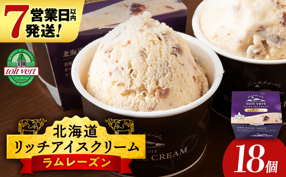 
            リッチアイスクリーム 香り高い魅惑のラムレーズン 18個セット（100ml）アイス スイーツ おやつ 冷凍 食べ比べ
          