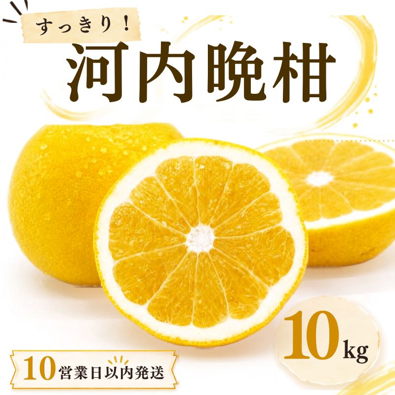 【10営業日以内発送】フルーツアイランド･マルエム直販の河内晩柑 約10kg 早期配送 ばんかん みかん 柑橘 みかん ジュース 果物 フルーツ グレープフルーツ 河内晩柑 愛南ゴールド 愛媛県 愛南