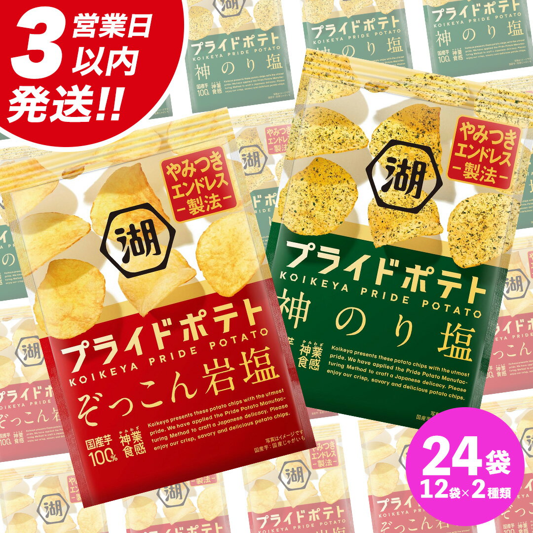 【ふるさと納税】湖池屋 プライドポテト55g 2種類 詰め合わせ セット ポテチ お菓子 おかし スナック ポテトチップス のり塩 塩 ポテト 数量限定 まとめ買い