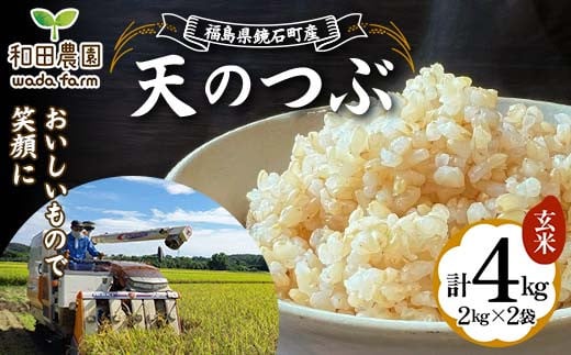 2024年産 福島県鏡石町産 和田農園「天のつぶ」玄米 4kg（2kg×2袋） 米 コメ こめ F6Q-189