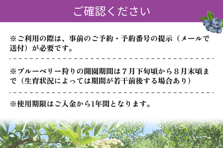 有機ブルーベリー狩り体験2名様（浜田市弥栄町「やさかファーム阿郷の里」） 【208_0002】