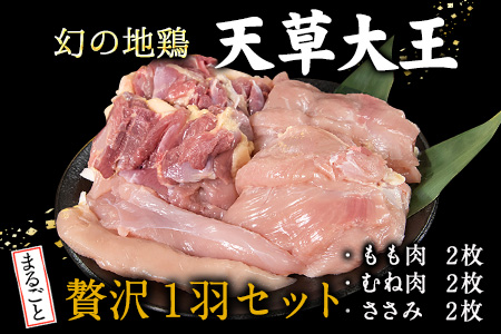 天草大王 贅沢1羽セット 約1.5kg【幻の地鶏】もも・むね・ささみ 各2枚《60日以内に出荷予定(土日祝除く)》 熊本県 葦北郡 津奈木町