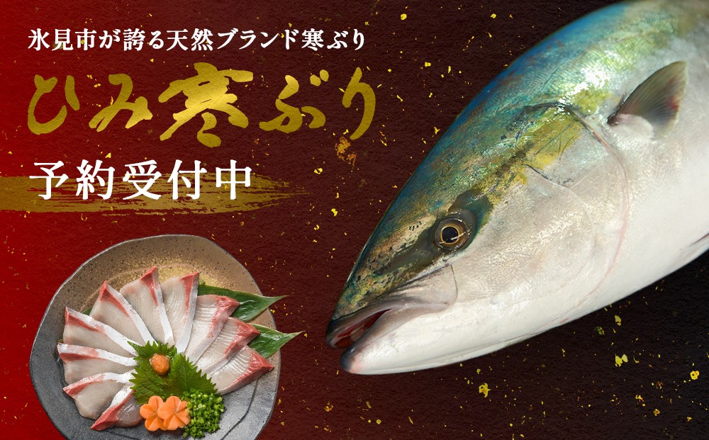 
                  【先行予約】氷見の寒ぶり一本（丸々1本）【ひみ水産】※配送地域限定
                