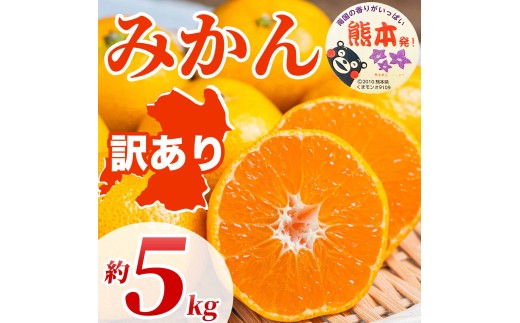 先行予約 訳あり みかん サイズミックス 約5kg（ 3S~3L）【2026年10月上旬～2027年2月下旬発送予定】訳あり みかん ミカン 蜜柑 果物 フルーツ くだもの 柑橘国産 熊本県 宇城市 規格外 不揃い 傷あり サイズミックス 日本フルーツ
