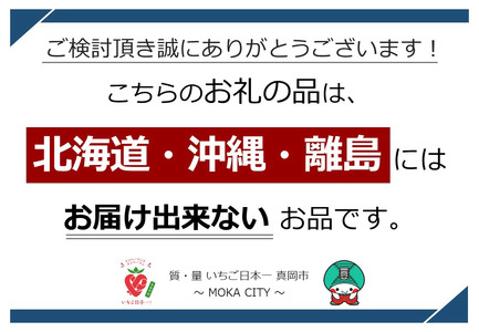 【定期便3回】栃木県産黒毛和牛切り落とし　1000g 真岡市 栃木県 送料無料