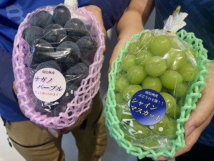 担当者おすすめ「味覚の里なかがわ」の採れたてくだもの【農家直送】木下農園のぶどう２種セット　約１Kg（シャインマスカットとナガノパープル）【種なし　皮ごと】