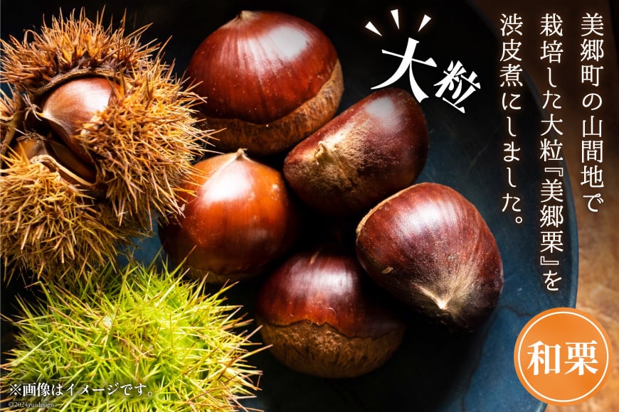 和菓子 栗の渋皮煮 200g×5袋 セット [農林産物直売所 美郷ノ蔵 宮崎県 美郷町 31ab0094] 栗 国産 和栗 栗の渋皮煮 ギフト 栗づくし 和菓子 スイーツ おせち 宮崎県産 美郷産 送