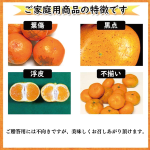 【みかん】 訳あり 家庭用 はれひめ S~3L玉 約2kg 【VEG0051】