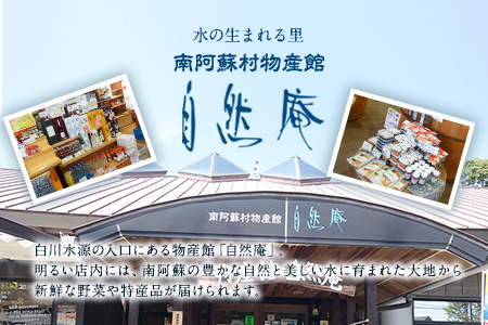 【ふるさと納税】DLG7連続金賞受賞！『阿蘇の逸品』ハム・ソーセージ バーベキューセット《30日以内に出荷予定(土日祝除く)》物産館自然庵 ハム ソーセージ ウィンナー ベーコン st-p