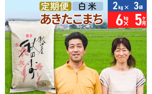 《定期便5ヶ月》令和6年産 あきたこまち特別栽培米6kg（2kg×3袋）×5回 計30kg【白米】秋田県産あきたこまち 5か月 5ヵ月 5カ月 5ケ月 秋田こまち お米 秋田