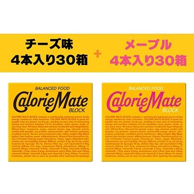 ふるさと納税 那賀町 「大塚製薬」カロリーメイトブロック　メープル味30箱・チーズ味30箱　計60箱