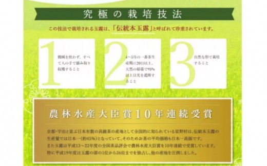 【C-132】八女星野茶 星乃憩 煎茶120ｇ×1 深蒸し茶120ｇ×1