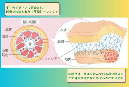 B069 【女性限定】全身８０分/筋膜リリースマッサージ/筋膜リリース認定サロン