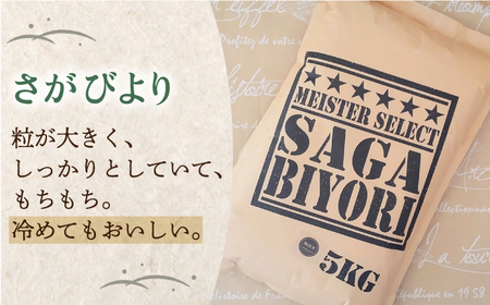 【無洗米 食べ比べ】令和5年産 新米 さがびより 夢しずく 計10kg ( 5kg×2種 )【五つ星お米マイスター厳選】特A評価 特A 特A米 米 お米 佐賀 [HBL011]