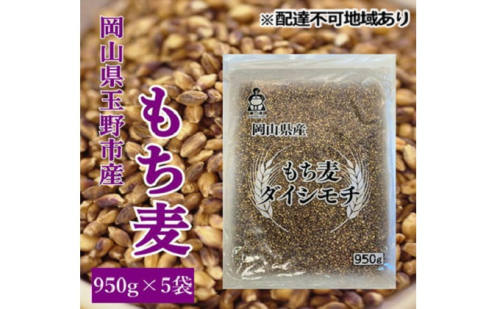 岡山県玉野市産 もち麦 ダイシモチ 950g×5袋