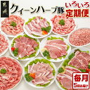 【ふるさと納税】「クイーンハーブ豚」のいろいろ定期便(5ヶ月) - 豚肉 定期便 5ヶ月お届け しゃぶしゃぶ用 焼肉用 ウデ モモ ロース 肩ロース バラ 送料無料 TAA5-2901【宮崎県都城市は2年連続ふるさと納税日本一！】▽