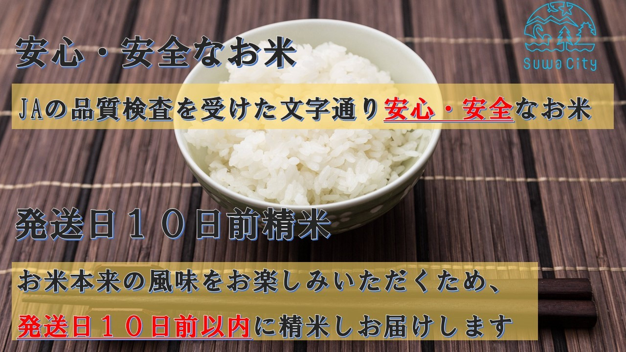 長野県諏訪産「つきあかり」10kg(10kg×1袋)