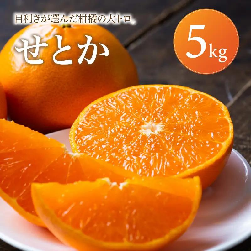 せとか 家庭用 5kg 【2027年2月中旬頃から順次発送】 | みかん ミカン mikan 蜜柑 訳ありフルーツ 柑橘 果物 おすすめ 高級 お勧め 愛媛三大高級柑橘 ( 紅まどんな せとか 甘平 ) お取り寄せ ギフト 愛媛県 松山市 【MKN019】