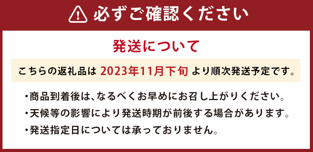 【2023年11月下旬発送開始】【冬】福岡産 あまおう いちご 約250～270g×2パック 大粒