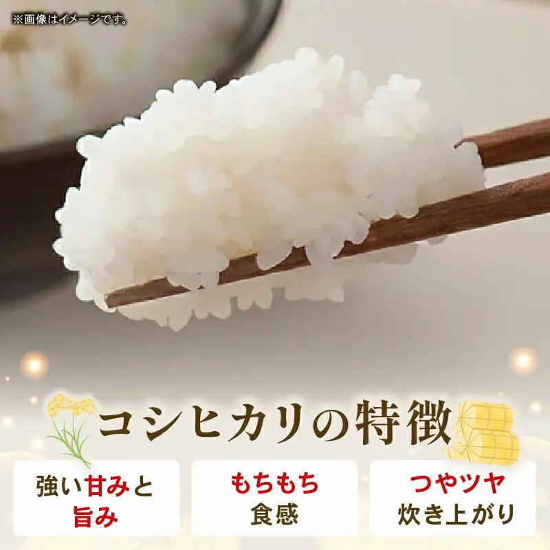 【先行予約】白米 5㎏ コシヒカリ 令和8年度 南国市産 3回定期便