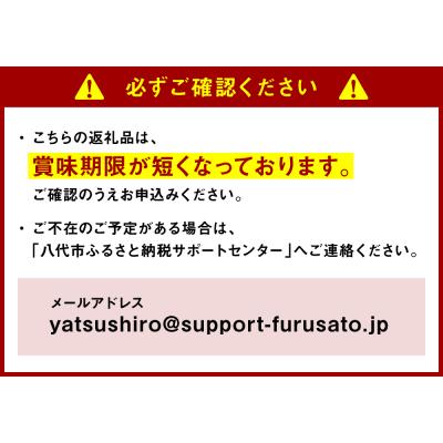 ふるさと納税 八代市 【定期便6回】なんさまうまか八代野菜セット 5品以上 やさい_001-2208-C |  | 01