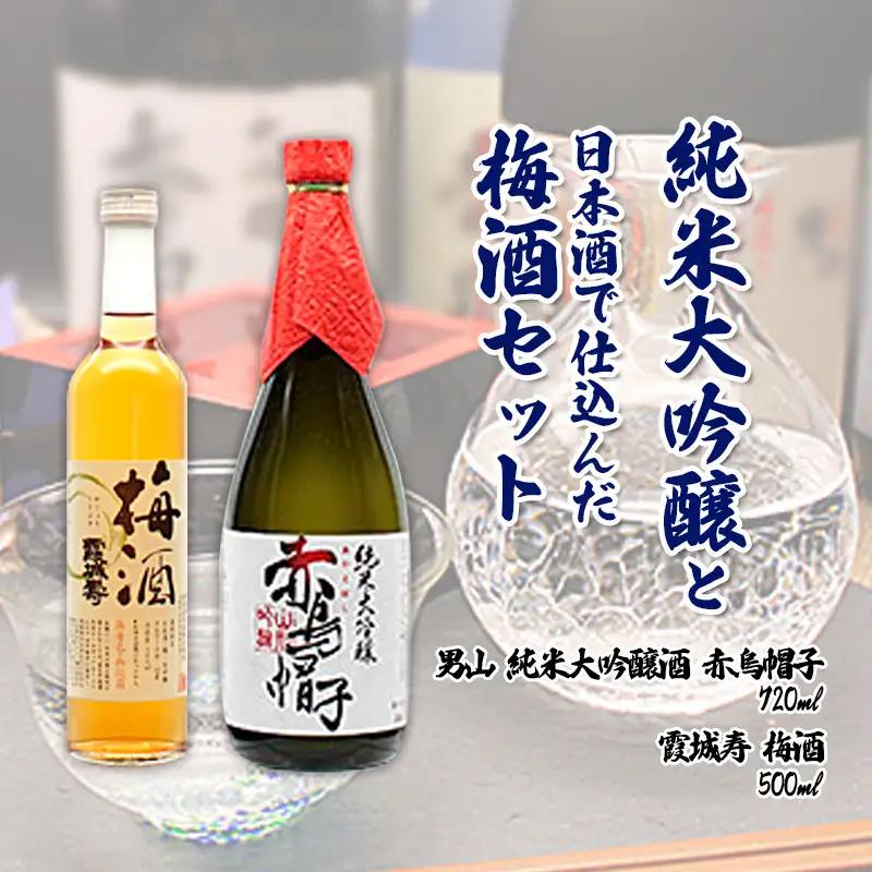 純米大吟醸と日本酒で仕込んだ梅酒セット 男山 FZ26-878