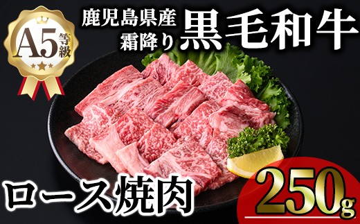 鹿児島県産A5等級黒毛和牛霜降りロース焼肉 (計250g・250g×1P) 牛肉 鹿児島県産 牛 黒毛和牛 ロース 焼肉 ロース肉 A5 冷凍 霜降り【KNOT】 A1103